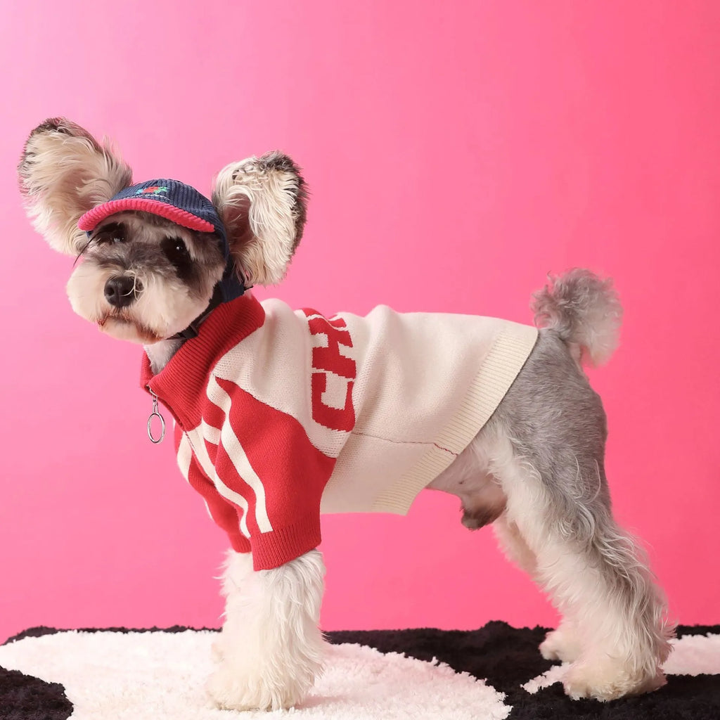 Red wool-blend sports cardigan sweater for dogs on mannequin showing menswear styling