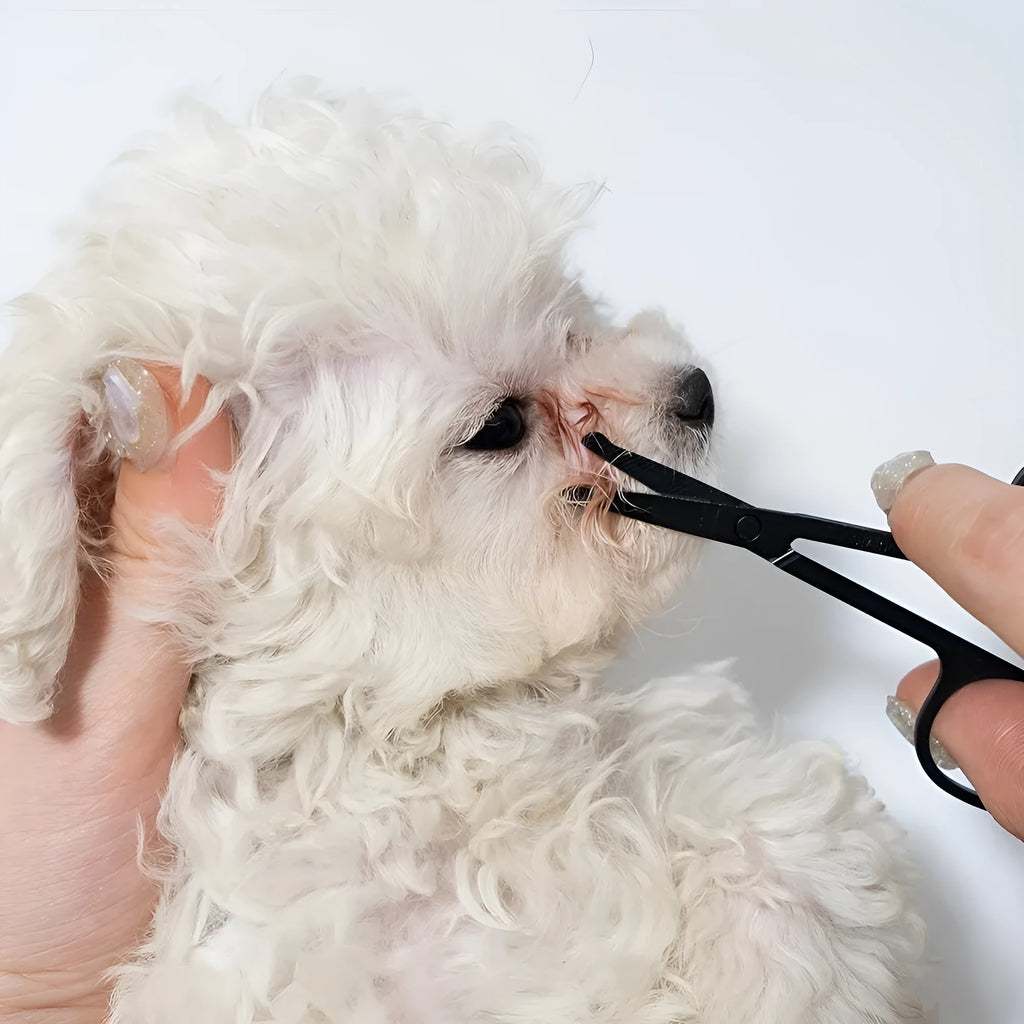 Black pet grooming brush with soft silicone bristles for gentle eye cleaning on dogs and cats