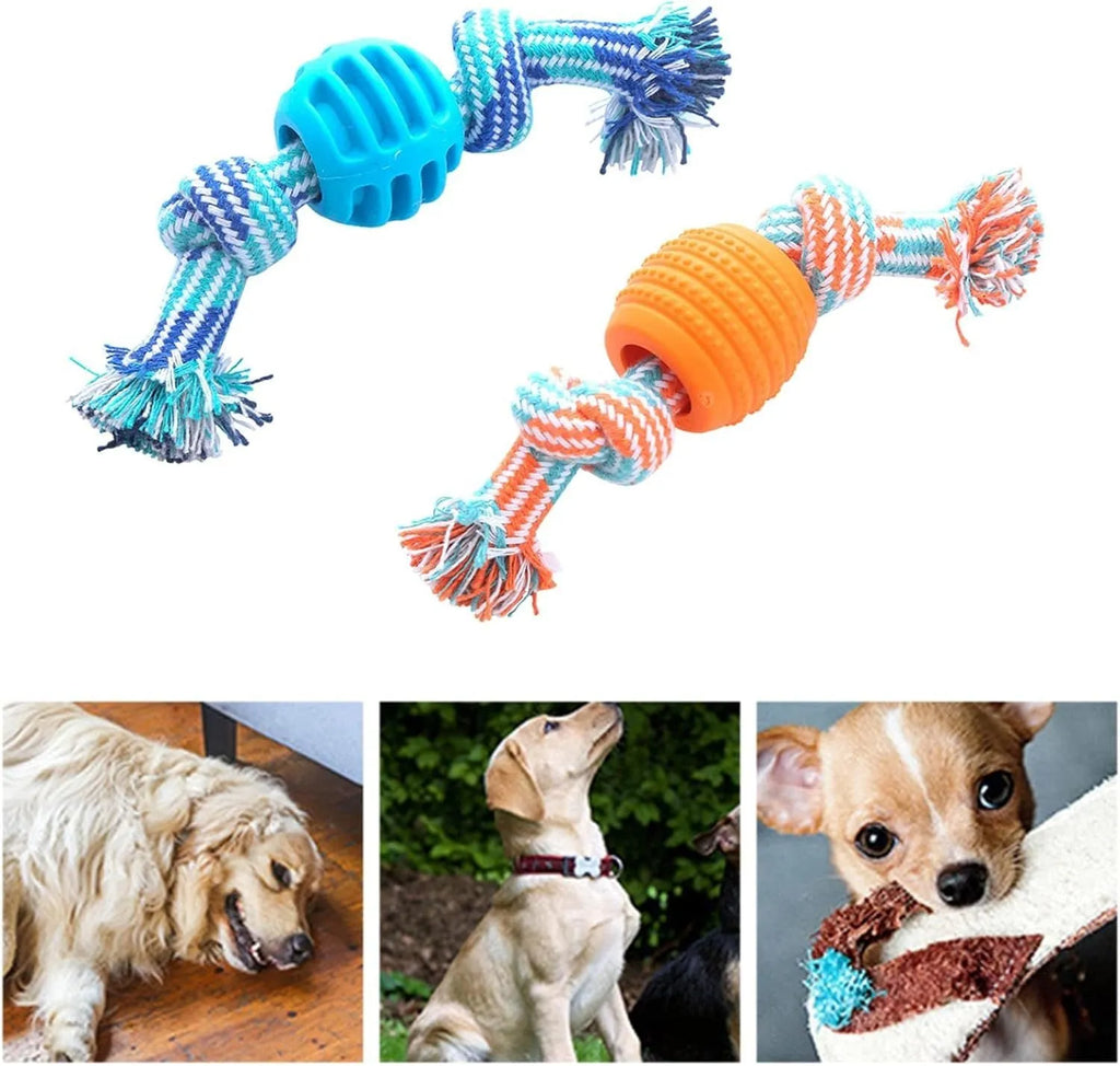 Dog chew toy with rope elements and molar design for teeth cleaning