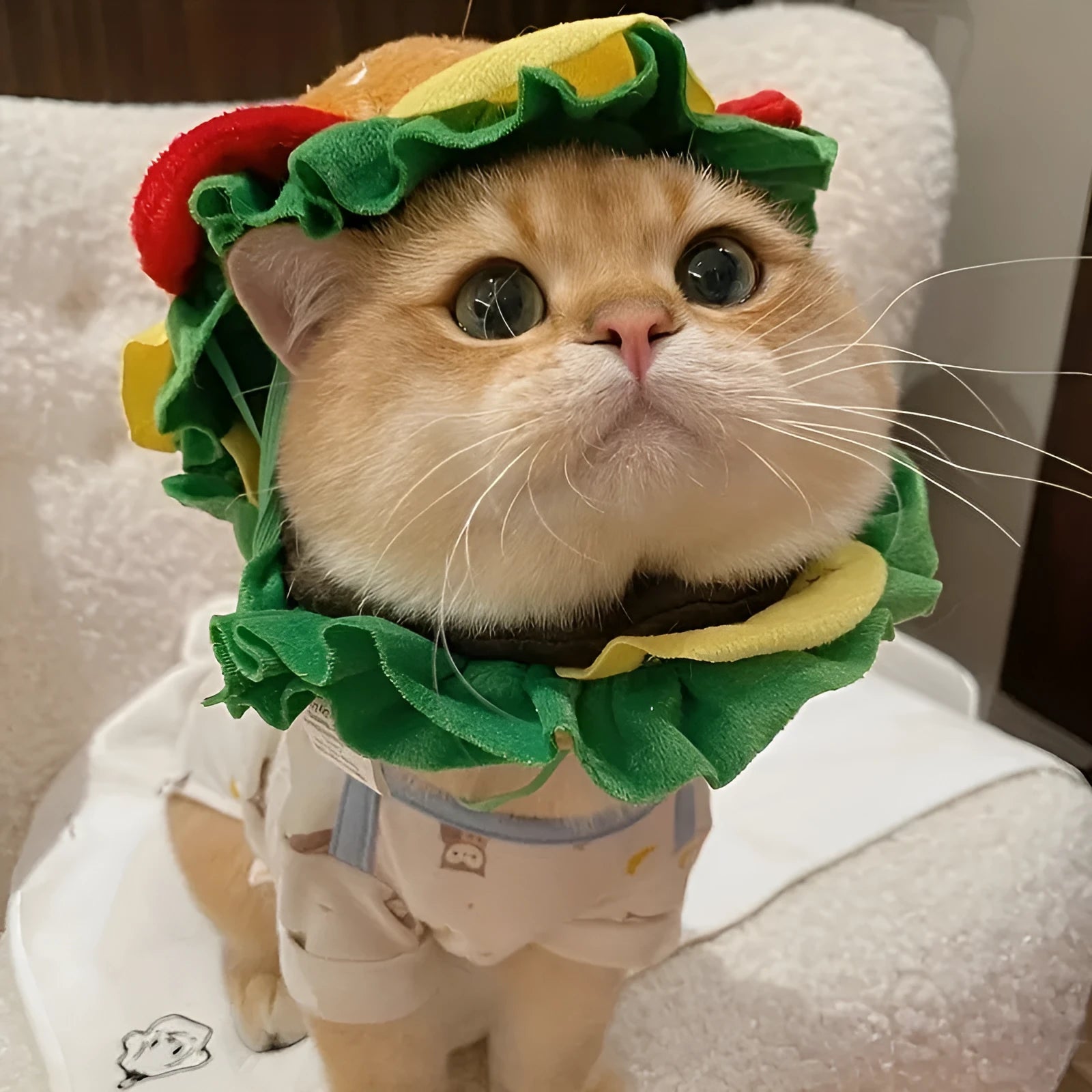 Cat wearing cartoon burger headdress collar in adjustable sizes for costume events