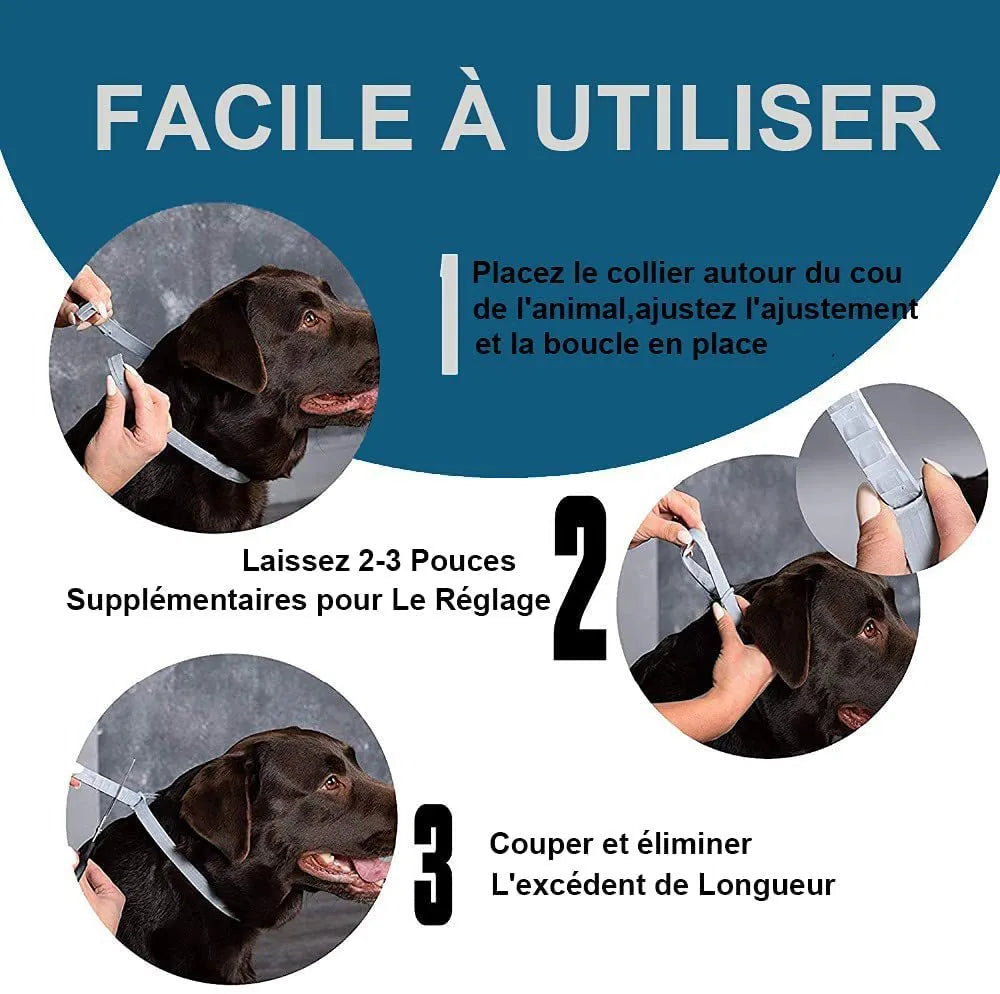 Plastic flea and anti-lice collar for cats or dogs in rainbow packaging