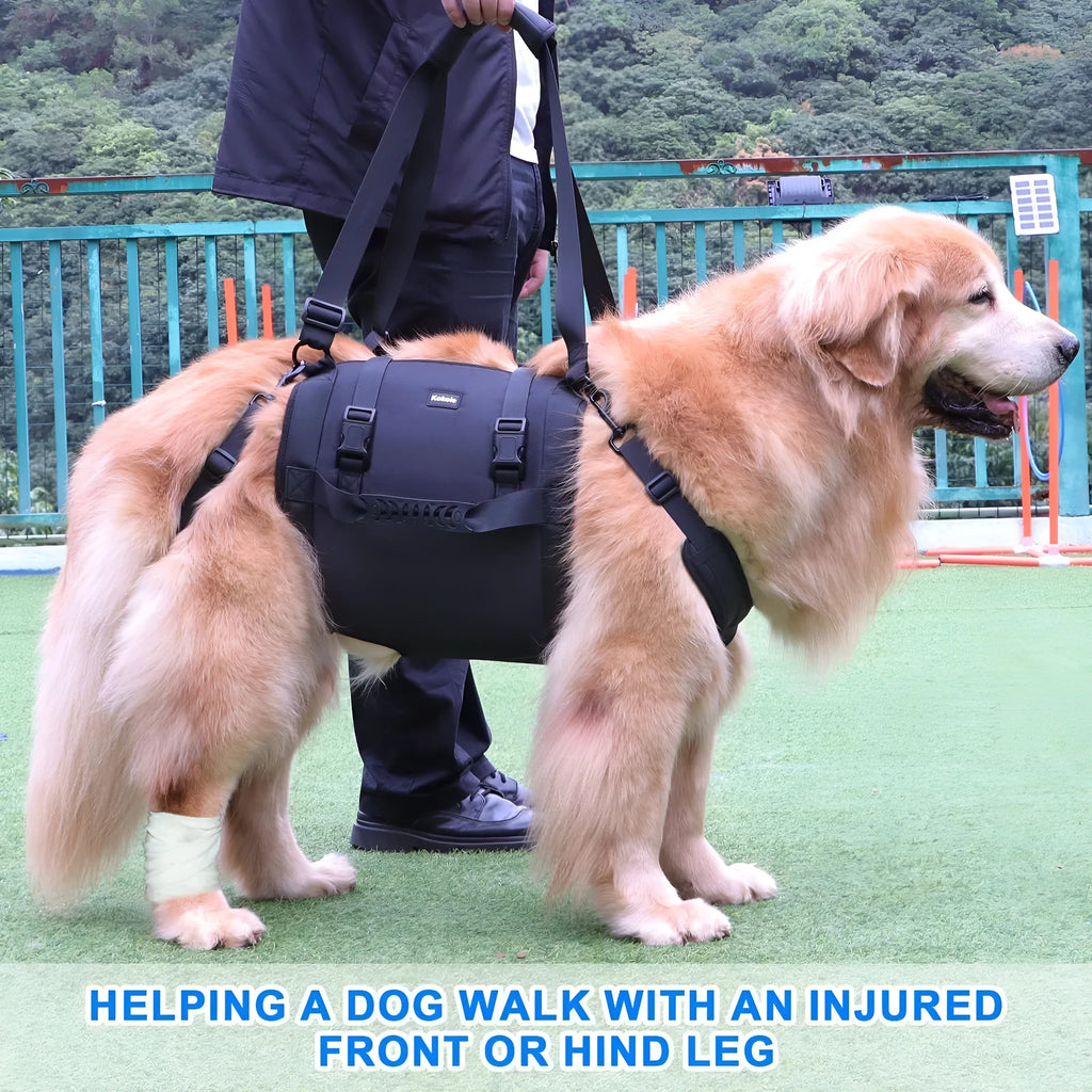 Black Oxford cloth dog rehabilitation harness showing breast strap design on size chart.