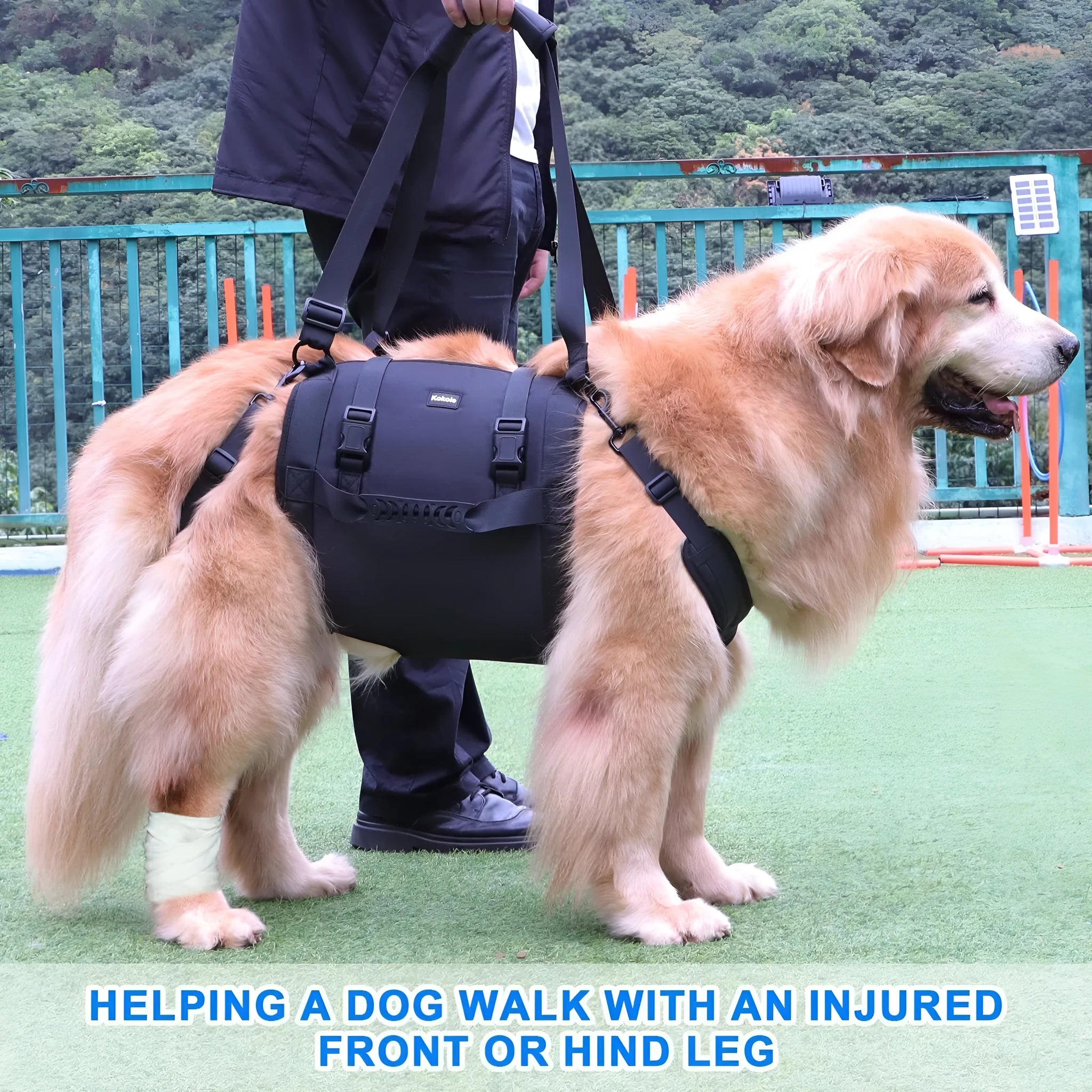 Black Oxford cloth dog rehabilitation harness showing breast strap design on size chart.