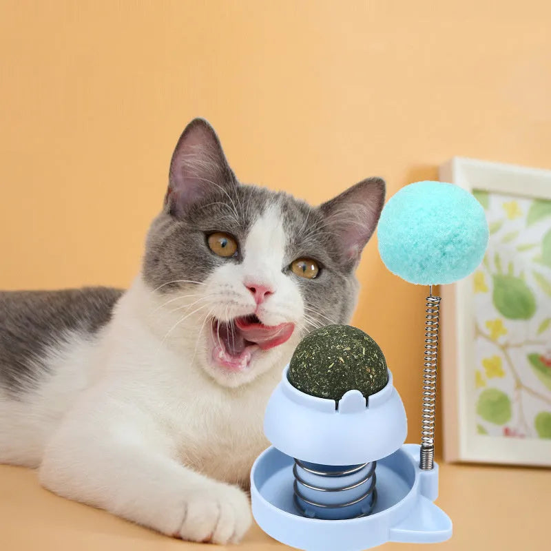 Lucky cat music mint ball toy measuring 55mm diameter in blue, orange and pink colours