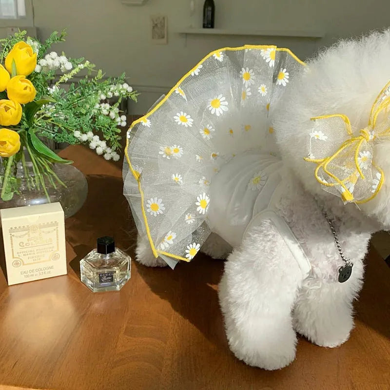 Yellow daisy pattern thin polyester dog clothes on a pet, showing summer apparel fit.