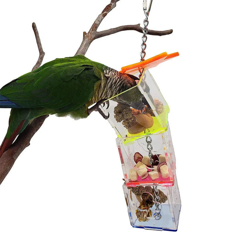 Clear acrylic parrot foraging toy with 5x5x32cm dimensions for bird enrichment