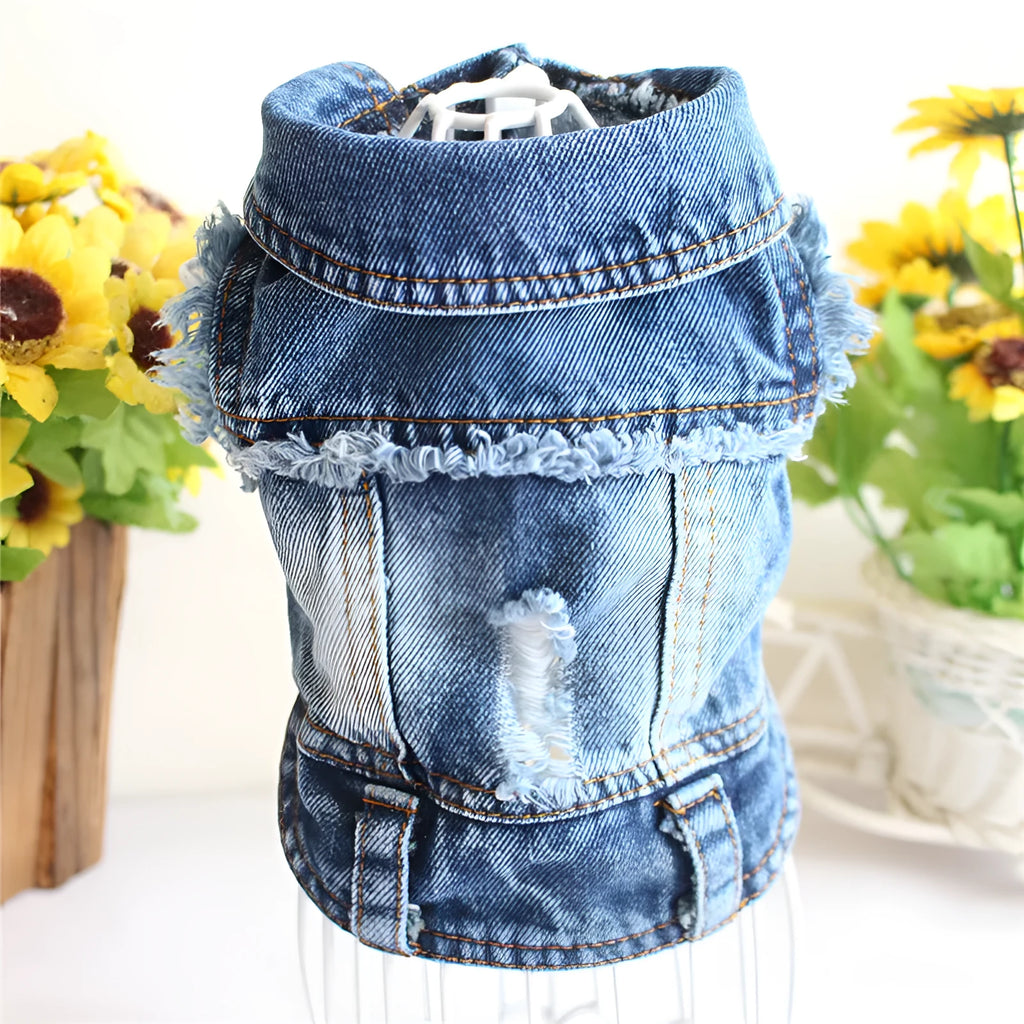 Ripped fringe denim pet vest for dogs with tassel detail in casual style