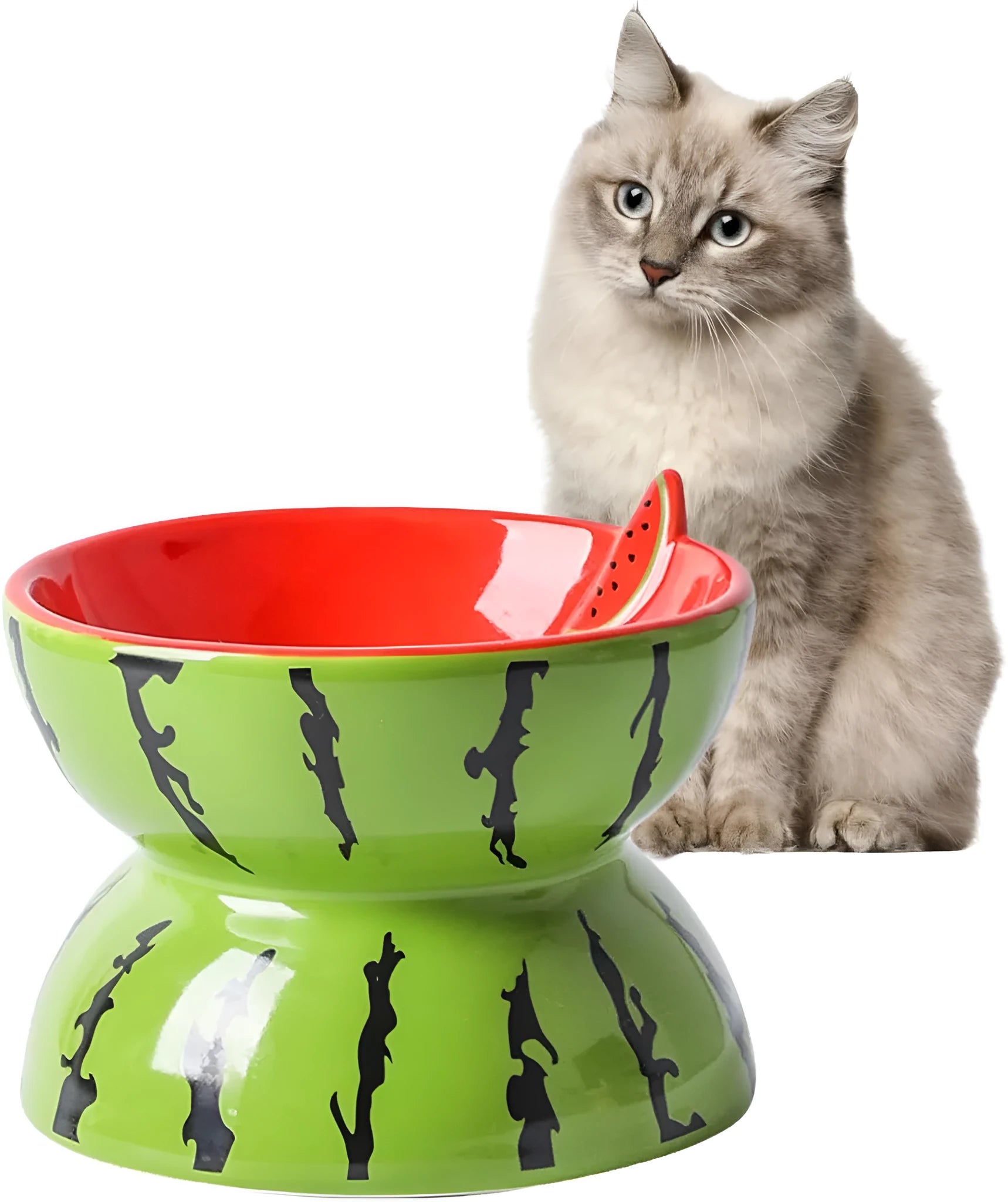 Orange ceramic raised cat bowl with tilted design and non-slip base on a table.