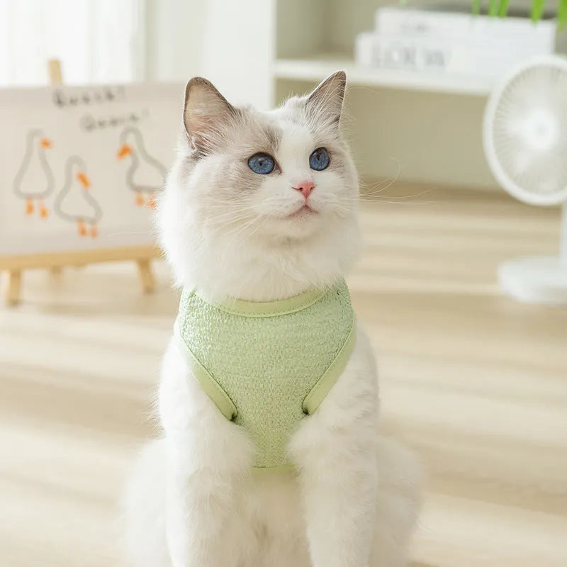 Green knitted cat clothing with a bear patch and breathable hollowed-out design on a cat model.