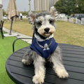 Blue and grey white pet hoodie sweater with reflective letters for cats and dogs
