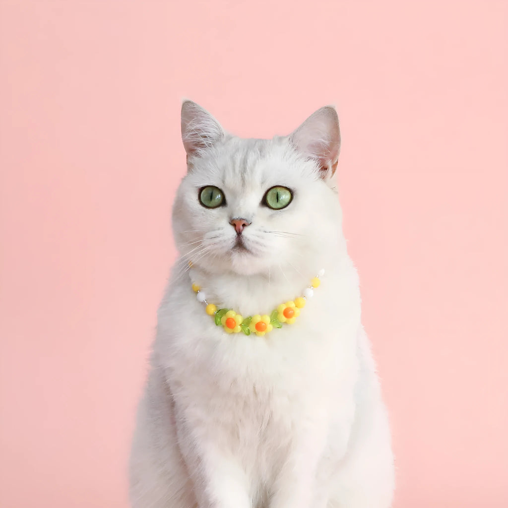 Colourful plastic bead pet necklace for a cat or dog in peach, rainbow, or small flower pattern.