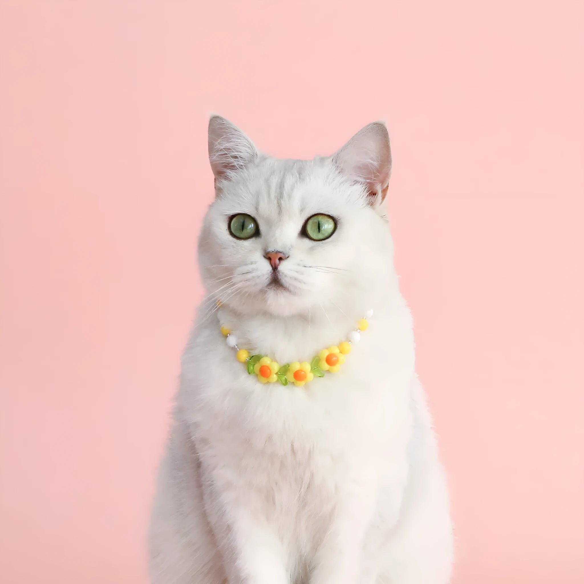 Colourful plastic bead pet necklace for a cat or dog in peach, rainbow, or small flower pattern.
