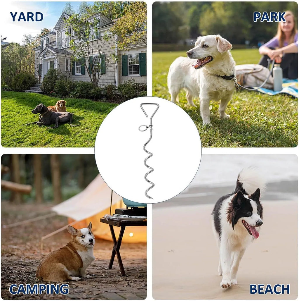 Solid steel spiral dog tie out stake for secure ground tethering outdoors.
