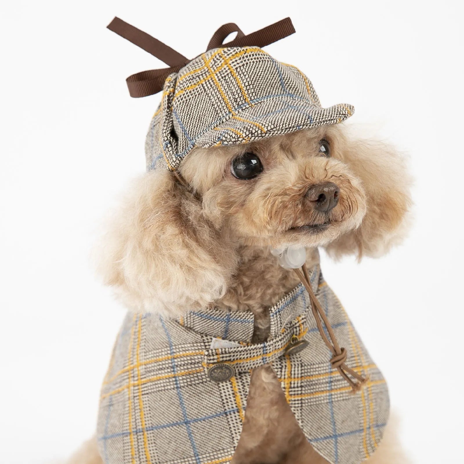 Camel coloured cotton pet cloak with adjustable hat shown in multiple sizes