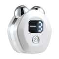 Portable white micro current double-roller facial massage instrument with hot compress function