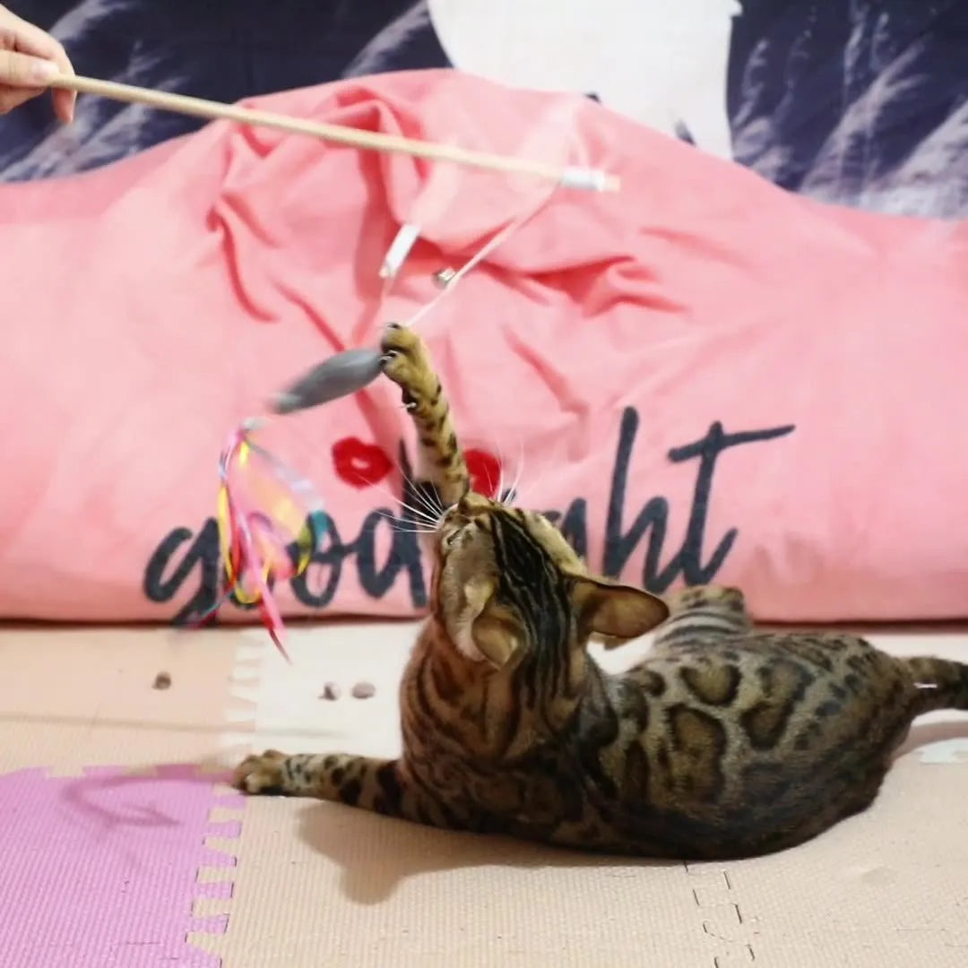 Cat wand toy with colourful ribbons, catnip fish, bell, and wooden handle for interactive play