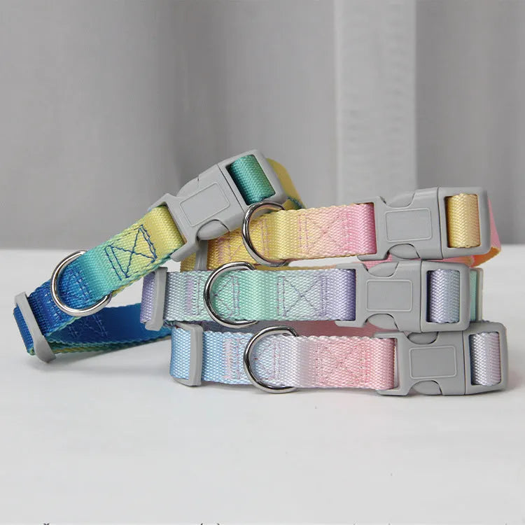 Nylon dog leash set with gradient colours in collar, bracelet and chest strap styles