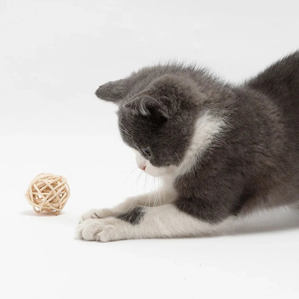 Two cat toys: a woven rattan ball and a faux feather ball with bell on a white background.