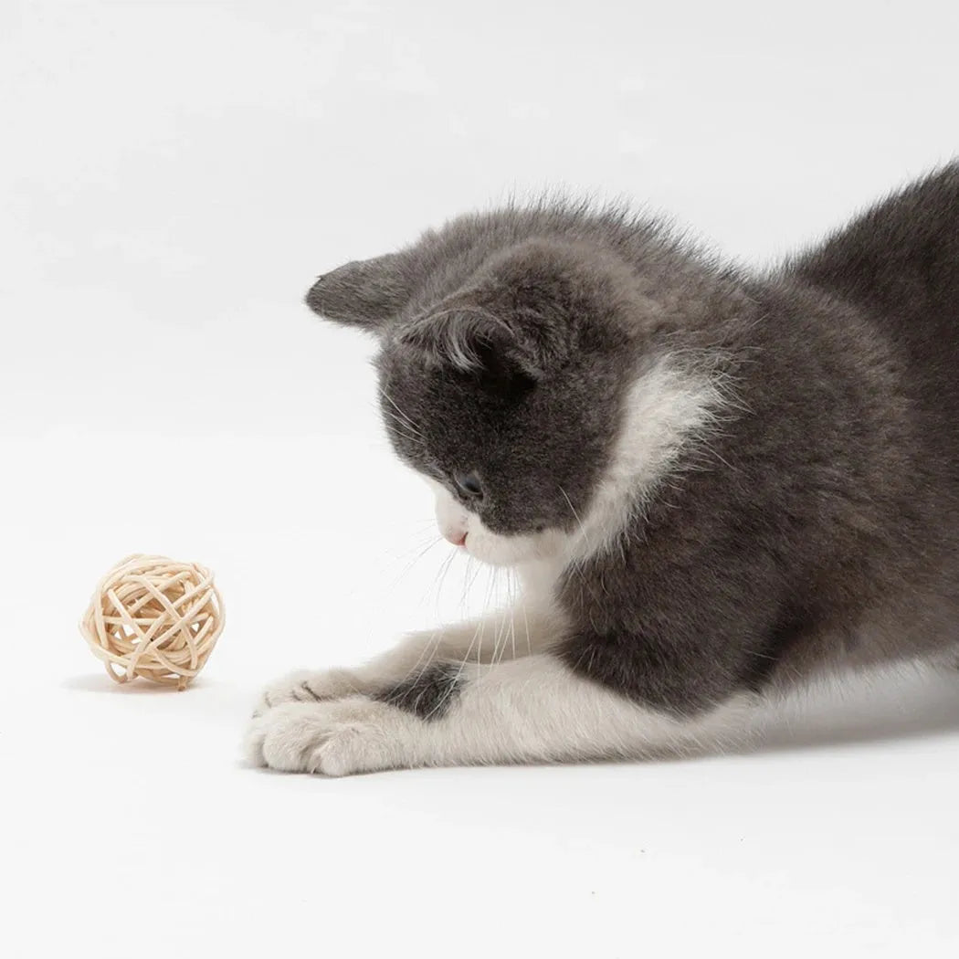 Two cat toys: a woven rattan ball and a faux feather ball with bell on a white background.