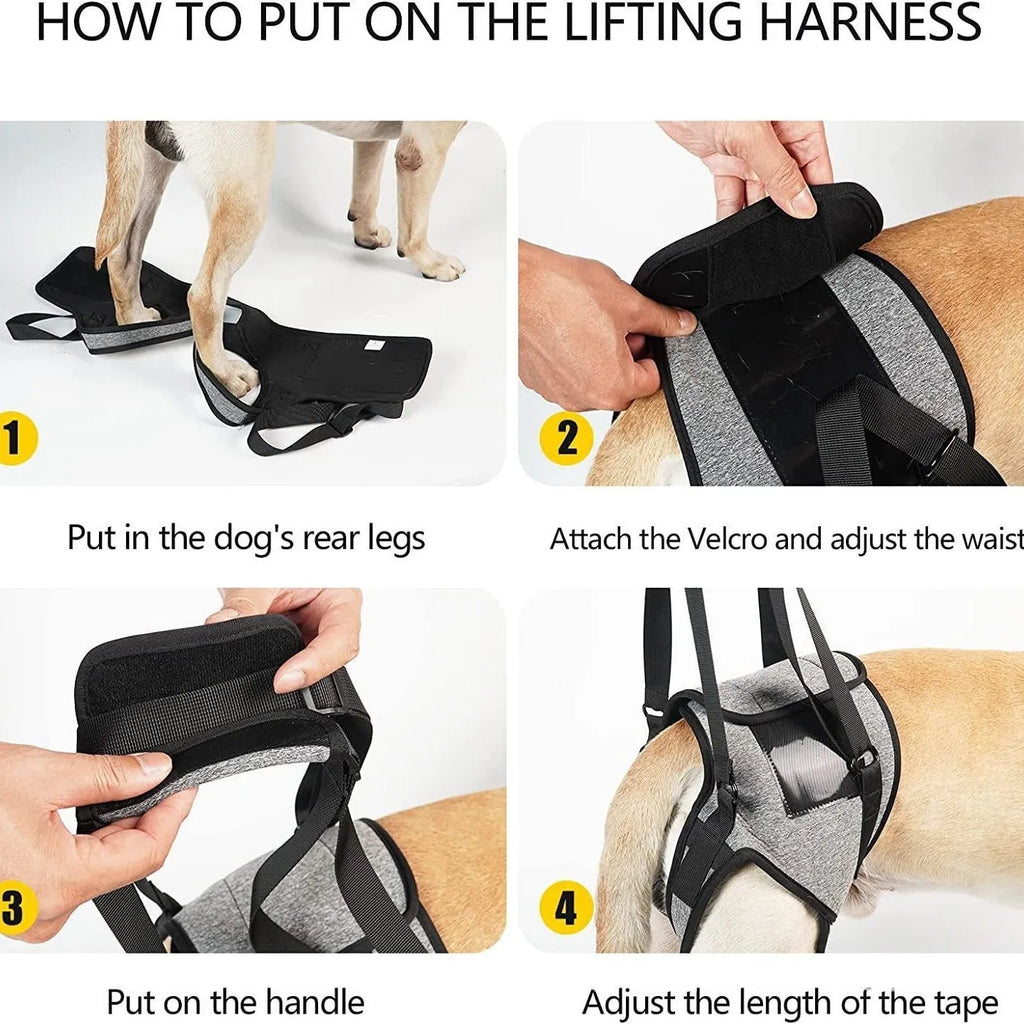 Grey neoprene dog rear leg recovery belt showing adjustable waist design
