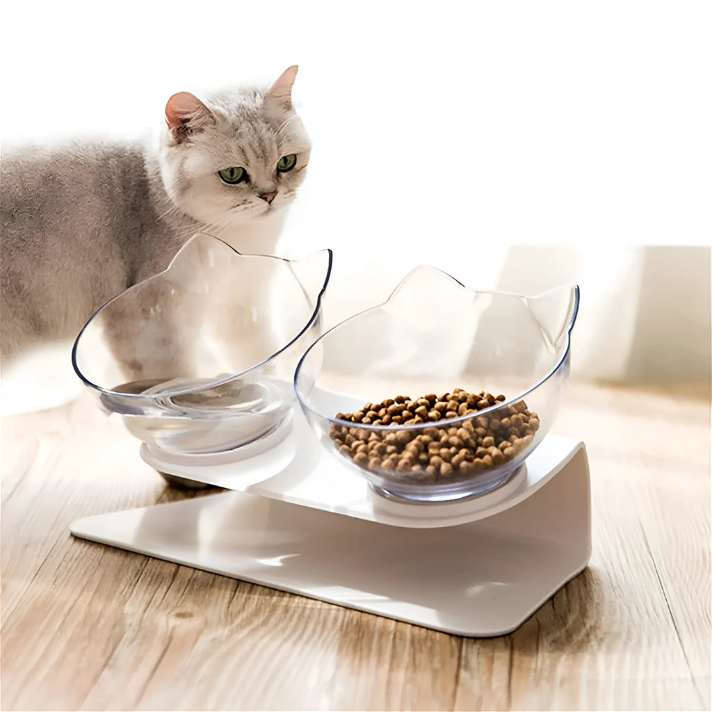 Non slip double transparent cat bowl with raised stand and 15 degree tilt for pet feeding