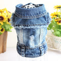 Ripped fringe denim pet vest for dogs with tassel detail in casual style