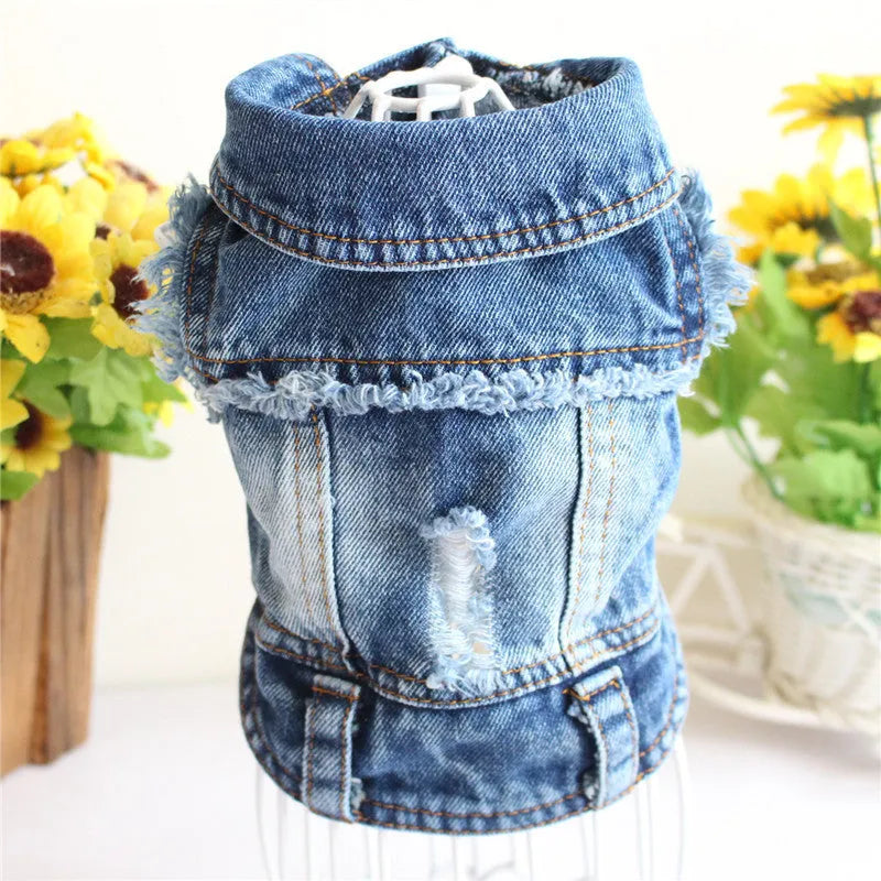 Ripped fringe denim pet vest for dogs with tassel detail in casual style