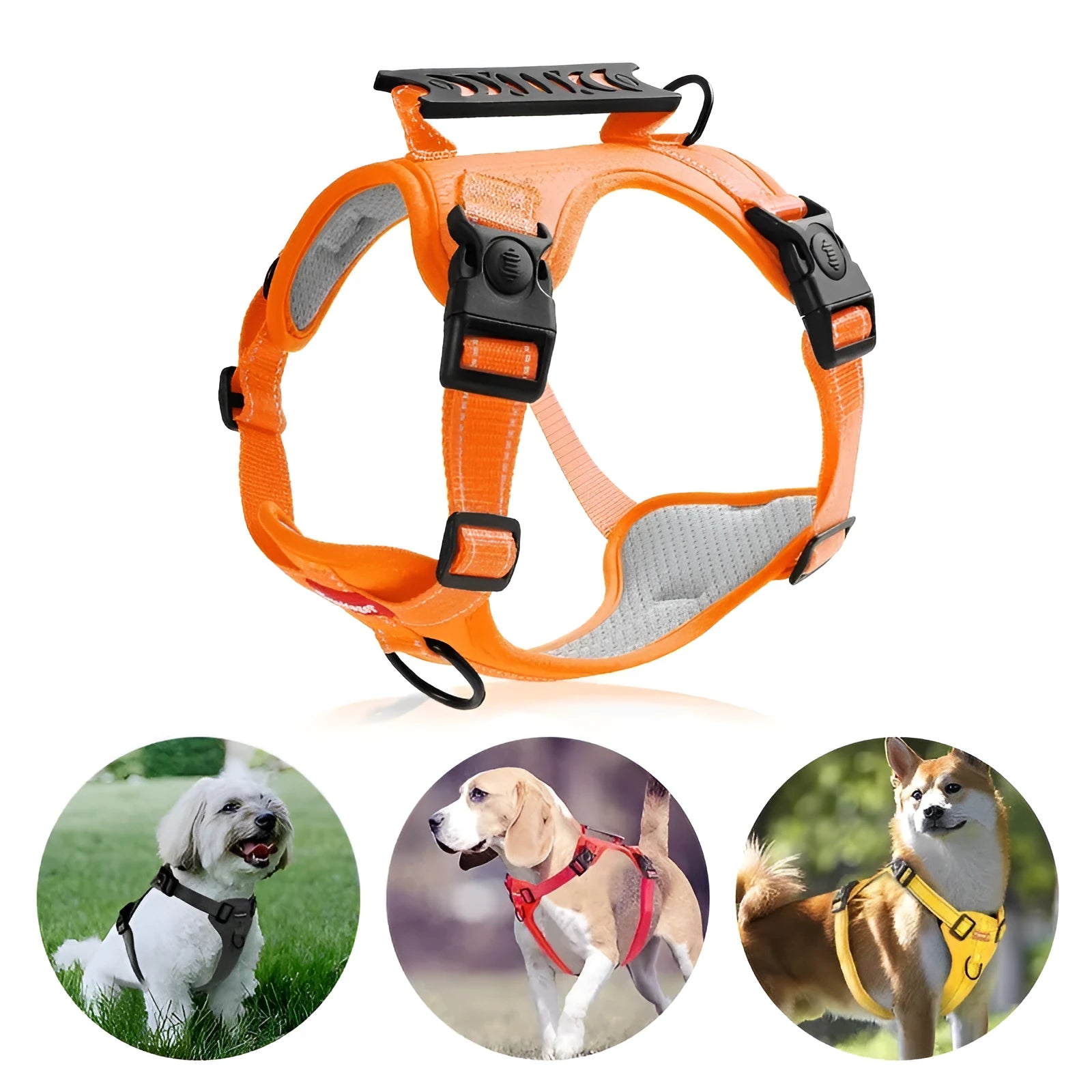 Polyester dog chest harness traction rope in multiple colours and sizes for controlled dog walking