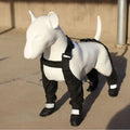 Black waterproof non-slip dog shoes with adjustable straps in sizes XS S M L XL XXL