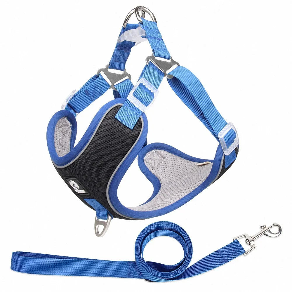 Breathable mesh dog harness with reflective piping and adjustable leash in red colour