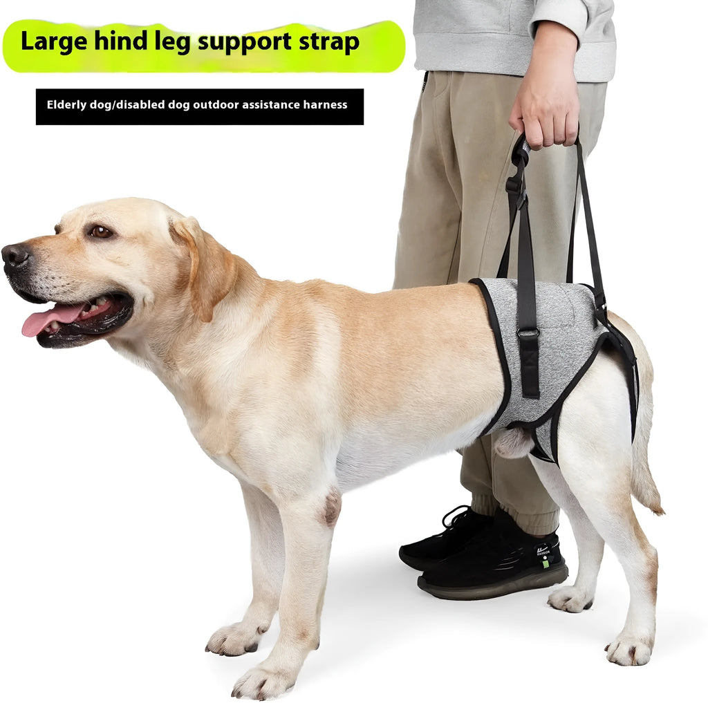 Grey neoprene dog rear leg recovery belt showing adjustable waist design