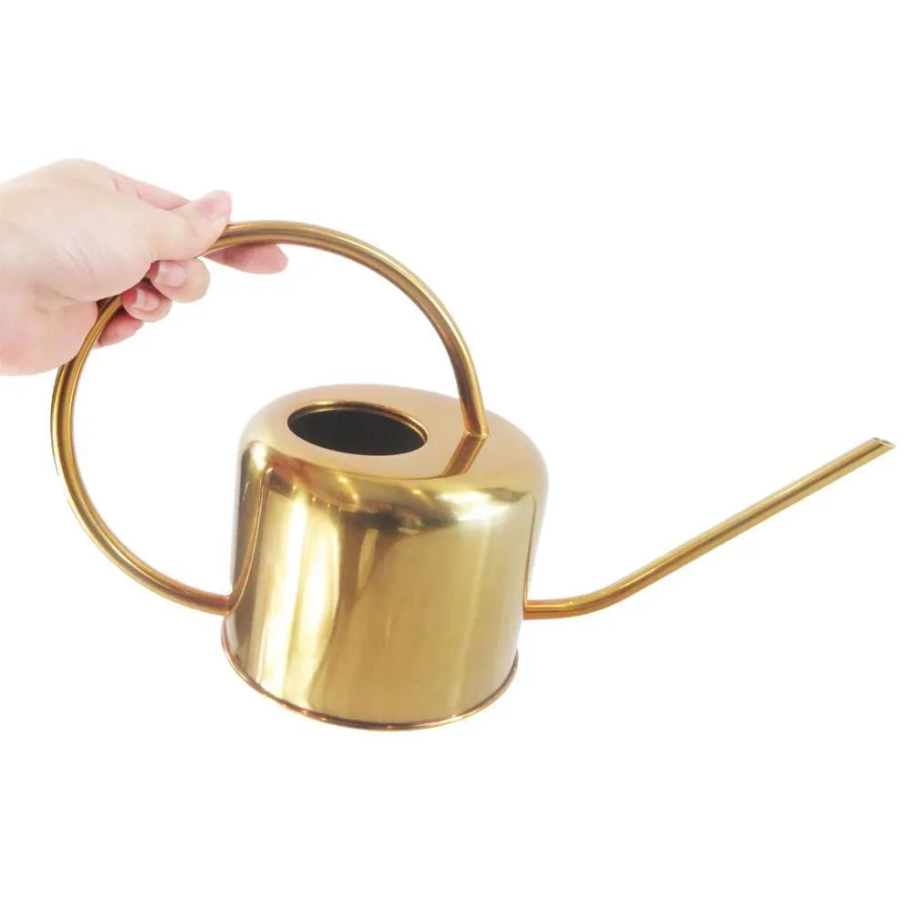Stainless steel 2 litre watering can with long spout in choice of black, gold or natural finish