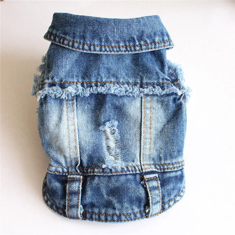 Ripped fringe denim pet vest for dogs with tassel detail in casual style