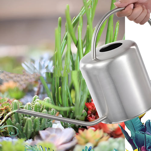 Stainless steel 2 litre watering can with long spout in choice of black, gold or natural finish