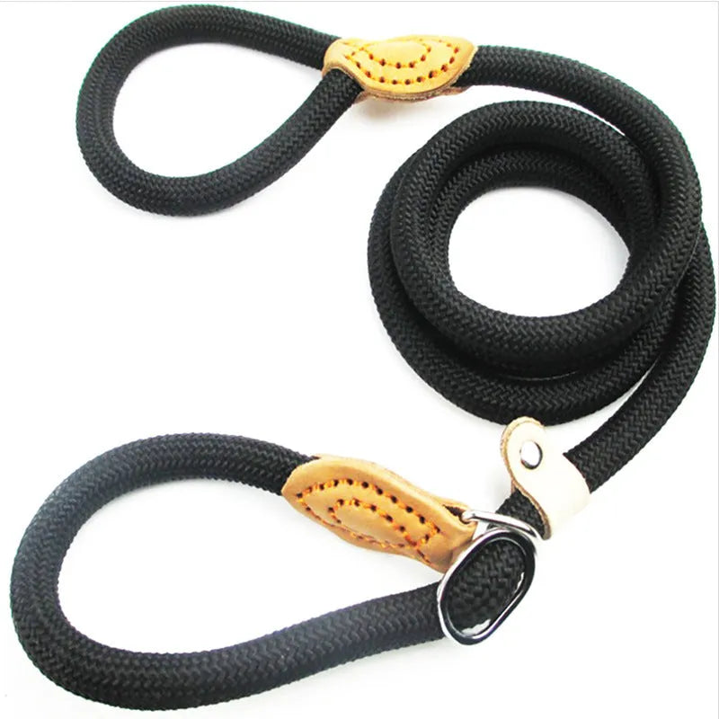 Brown nylon P-chain dog leash held in a hand, showing its full length and textured rope design.