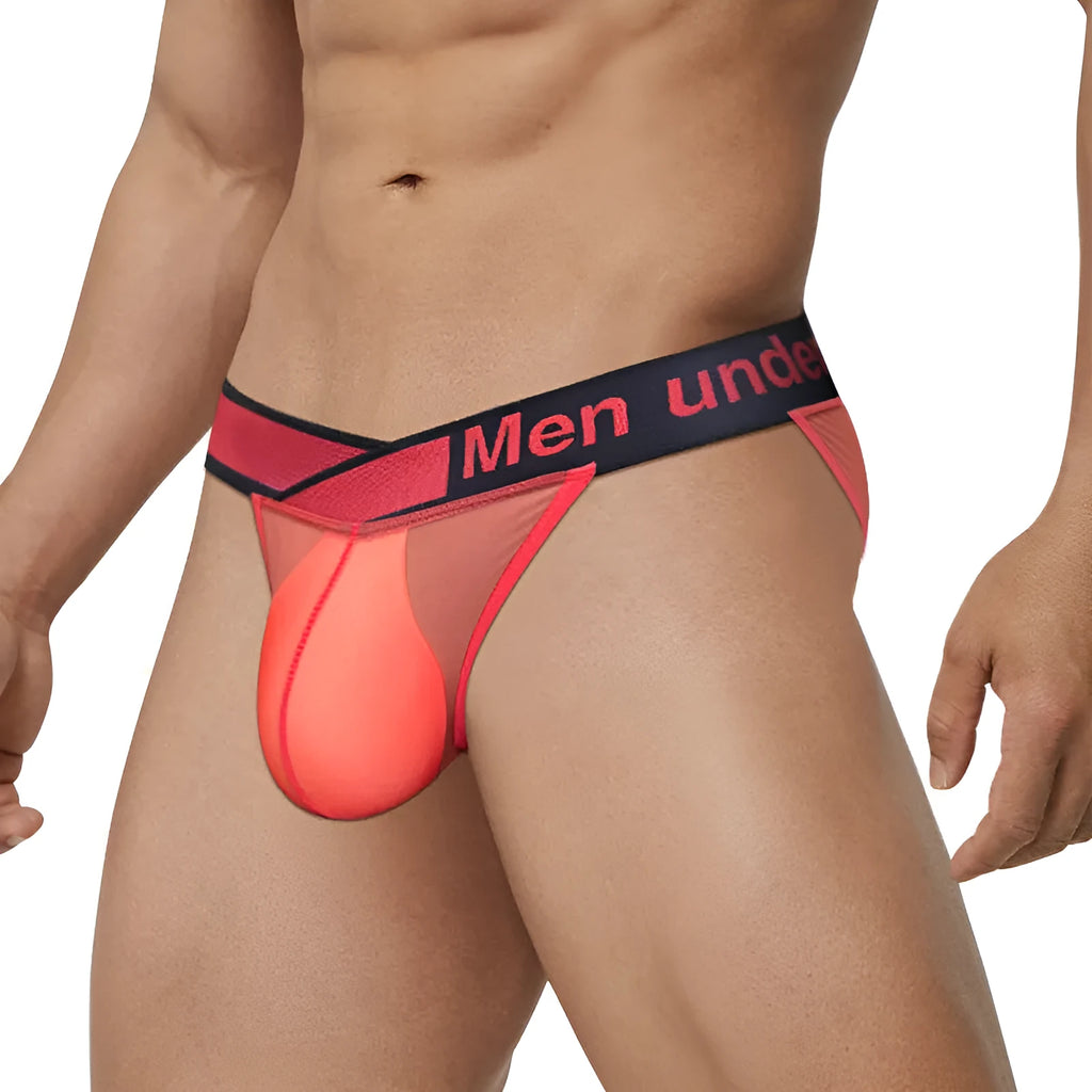 Men's transparent ice silk nylon briefs with V gradient design in black colour
