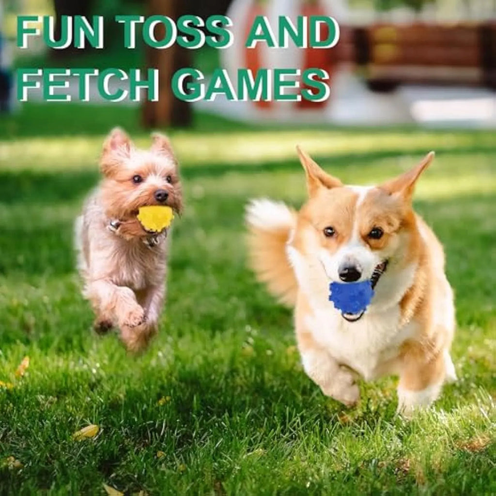 Bright coloured spiked dog ball toy with squeaker for small dogs on grass