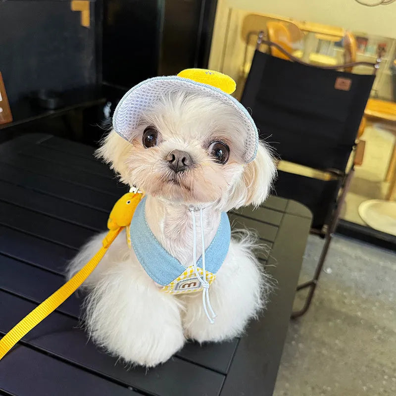 Pet dog harness and leash set with a cute animal hat and a blue tug rope on a green background.
