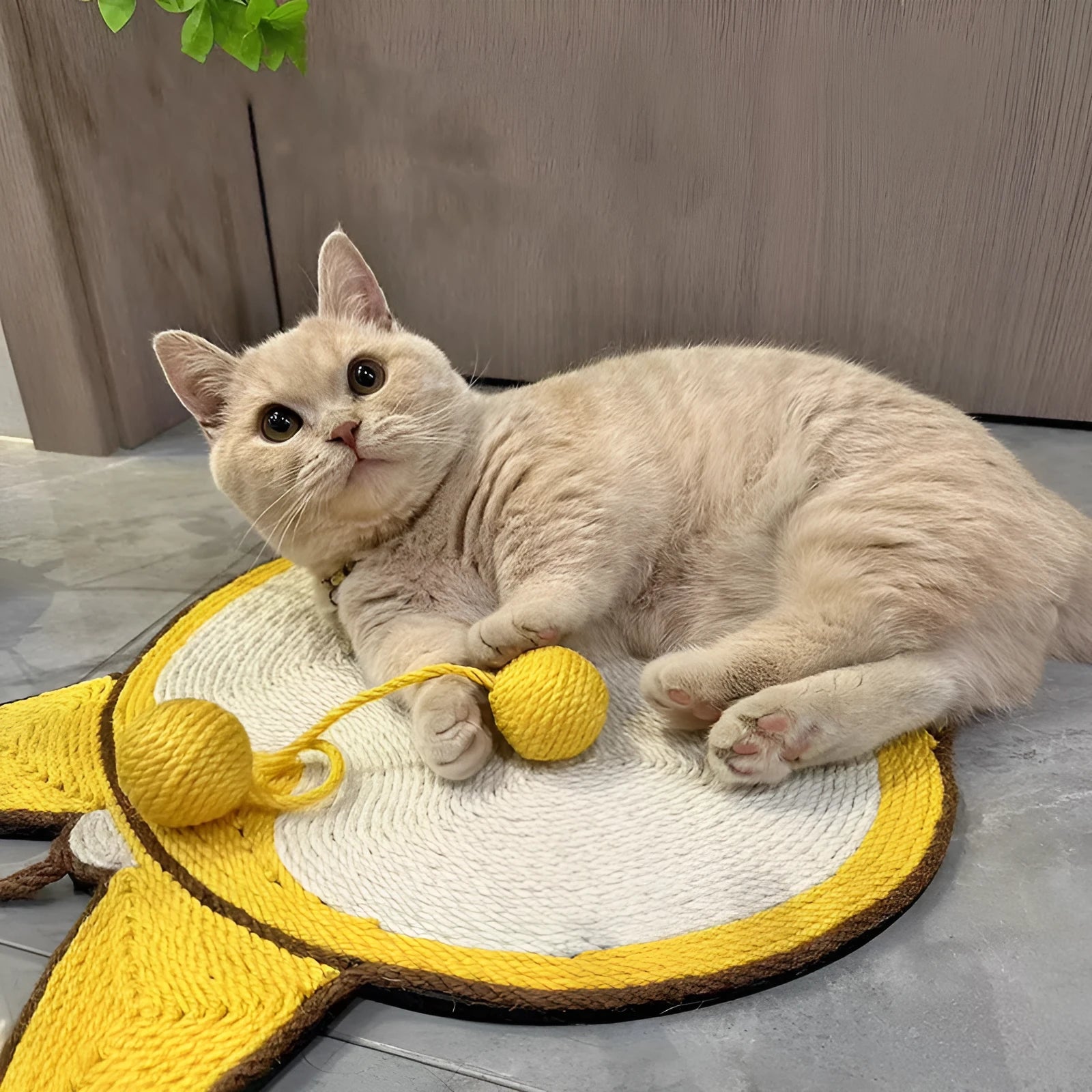 Yellow Corgi design cat scratching board with natural sisal surface measuring 37x40cm