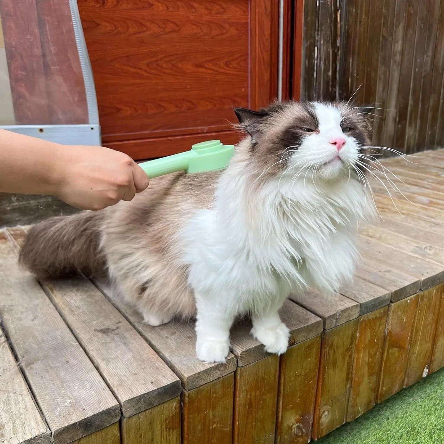Green pet grooming brush with stainless steel teeth for deshedding cats and dogs