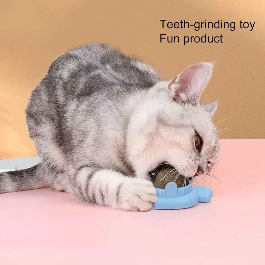 Blue carrot-shaped catnip ball with self-adhesive sticker for wall mounting and feline teeth cleaning