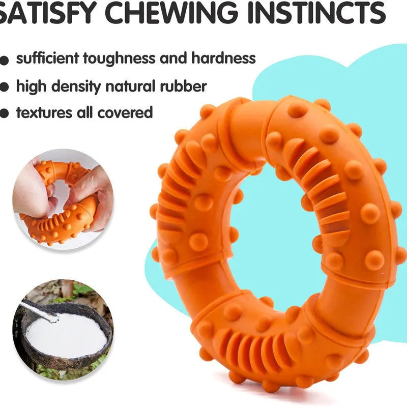 Blue orange red dog fetching stick toy with hollow centre for safe chew and fetch games