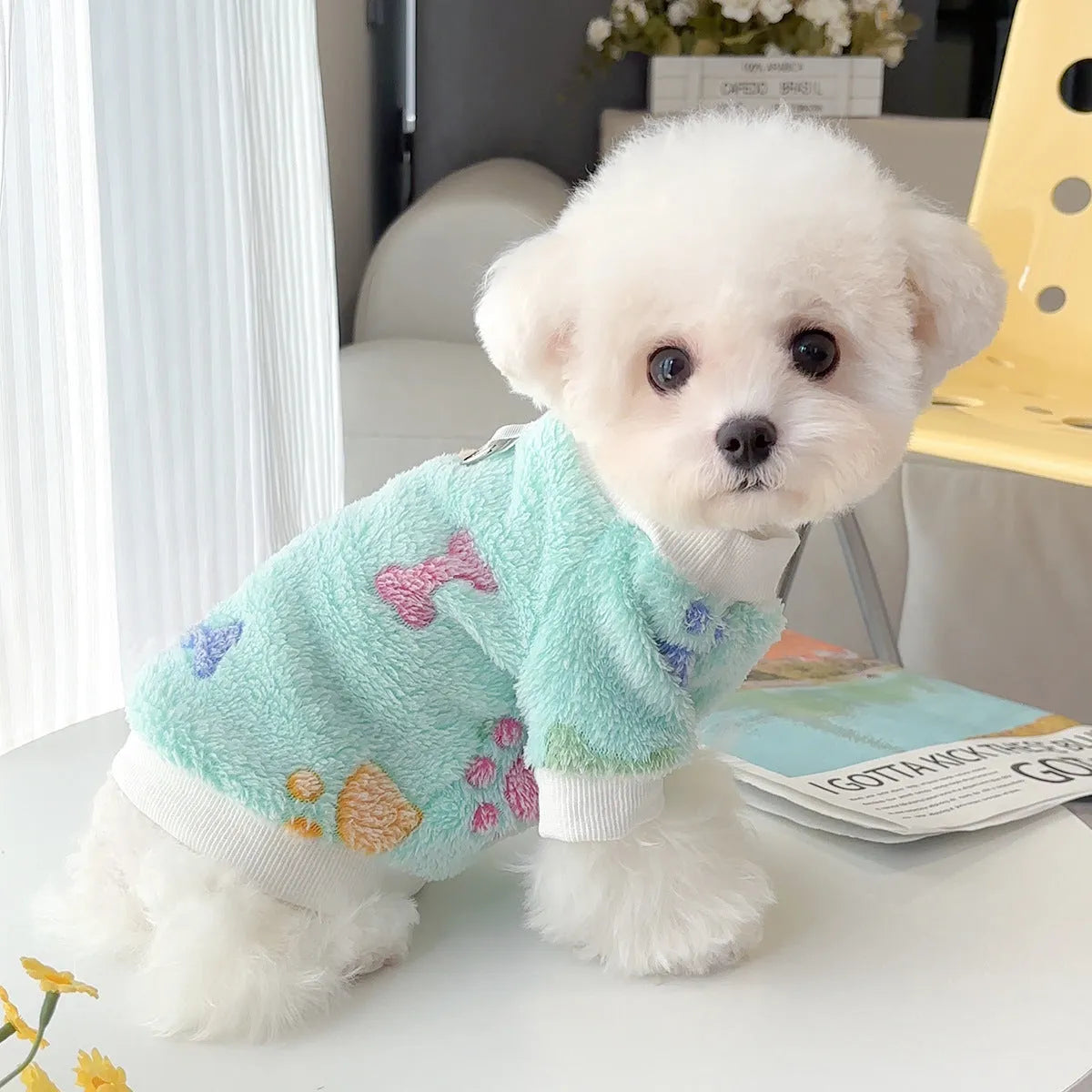 Flannel cotton pet coat in blue paw print design for small to large dogs