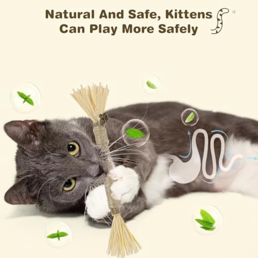 A pack of three natural silvervine chew sticks for cats with sisal rope, for dental care and enrichment.