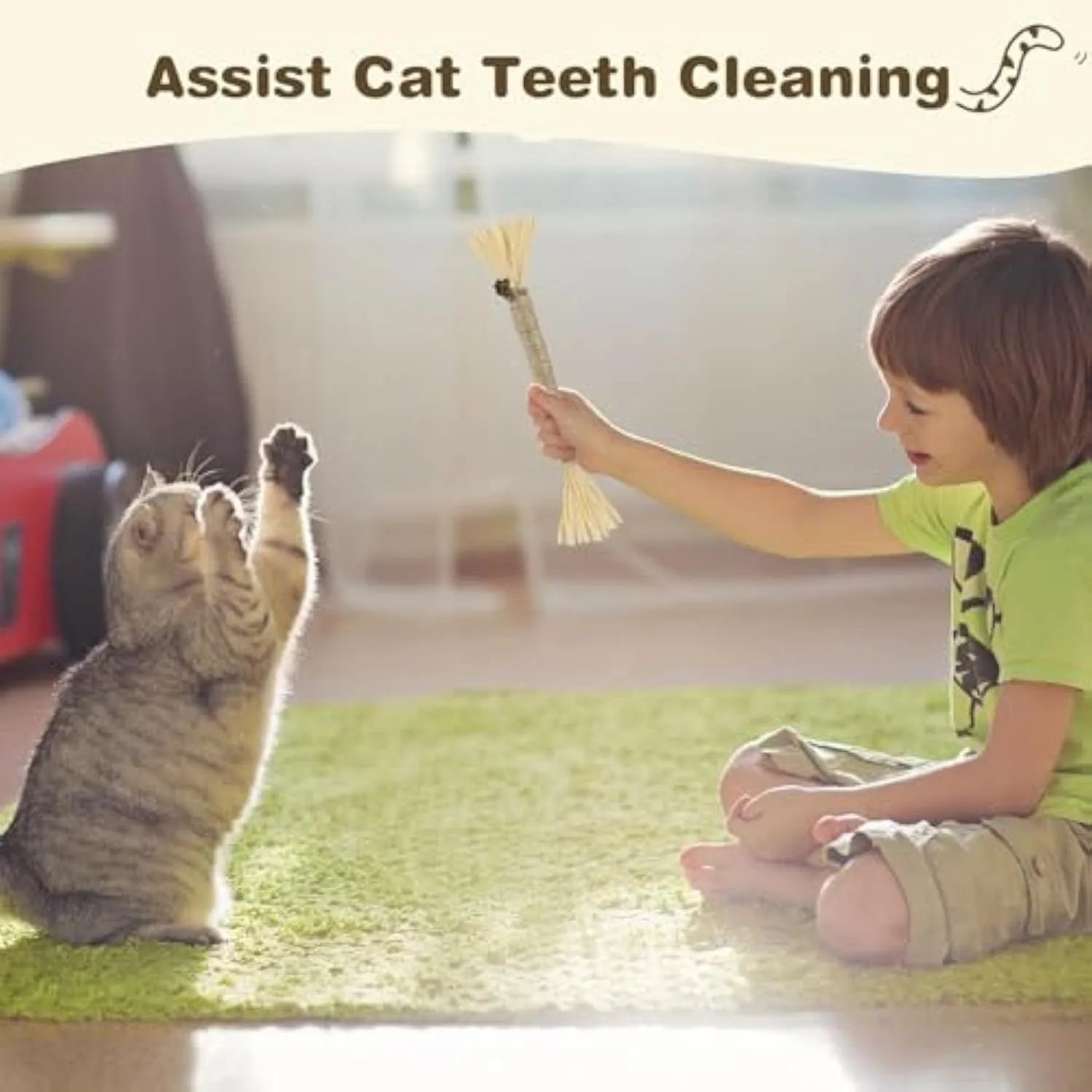 A pack of three natural silvervine chew sticks for cats with sisal rope, for dental care and enrichment.