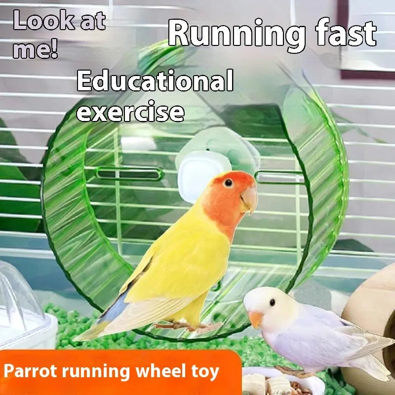 21cm plastic parrot running wheel exercise toy in transparent, green, grey, orange, or purple colours