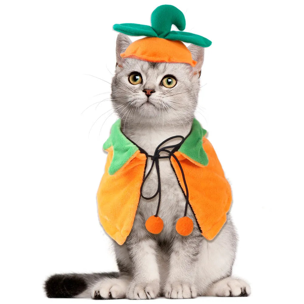 Reversible pumpkin design Halloween cloak for dogs and cats in plush material