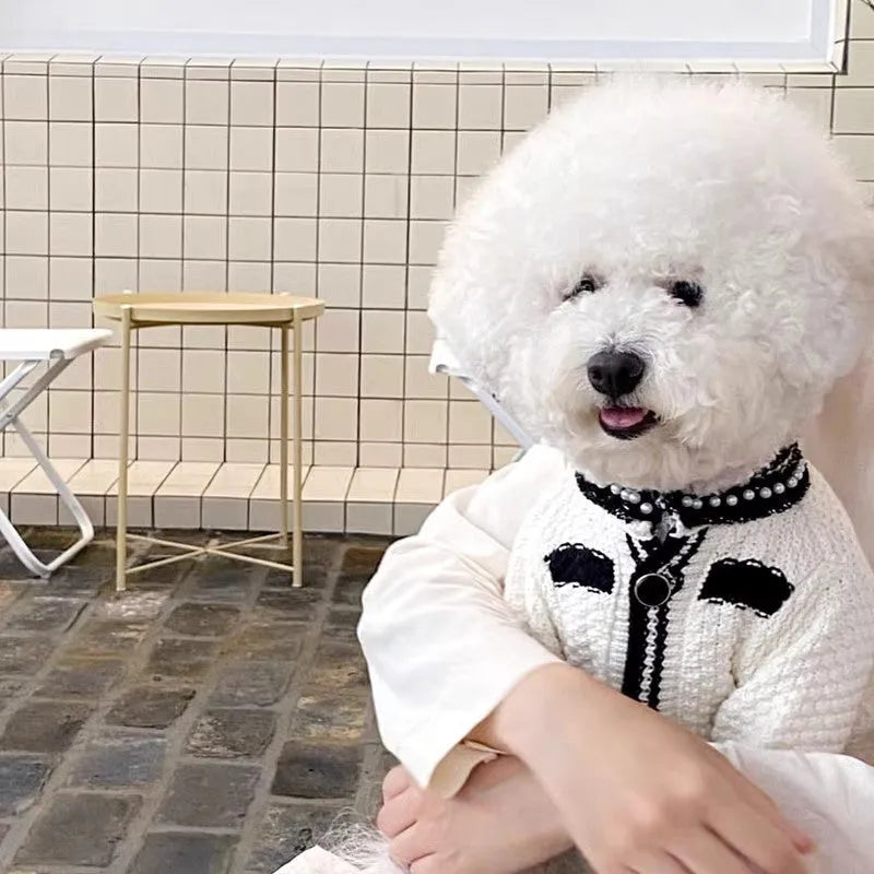 Korean style white dog sweater with pearl collar on small dog showing Princess cut design