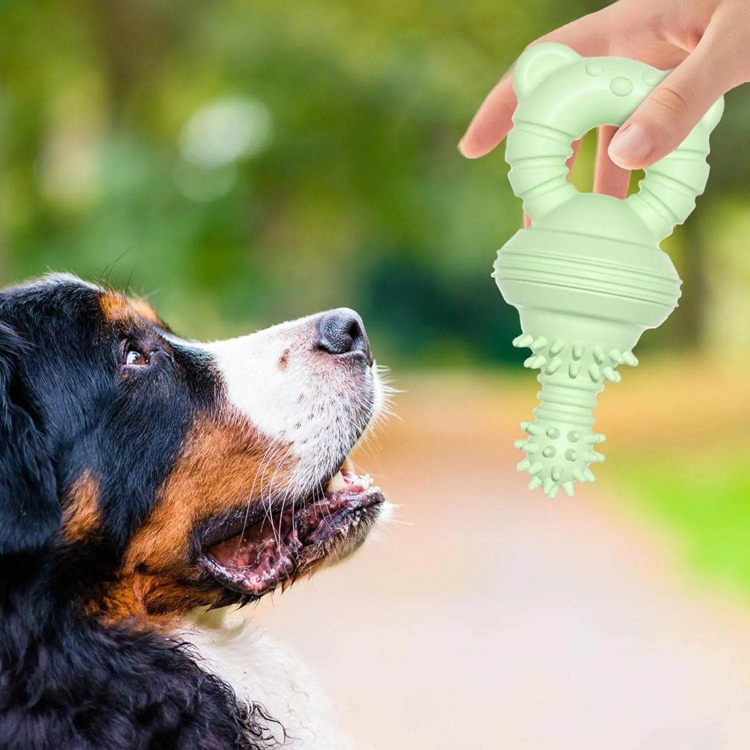 Blue rubber dog chew toy with textured surface and bell inside for teeth cleaning and play