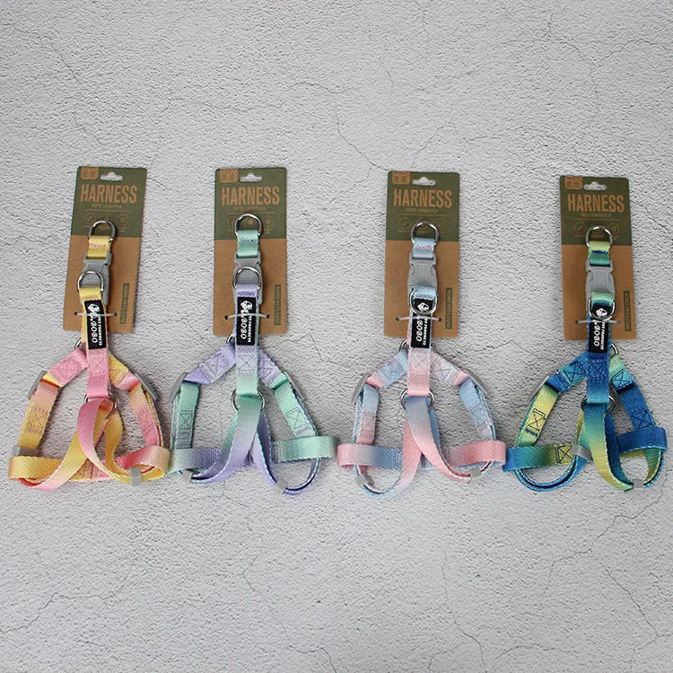 Nylon dog leash set with gradient colours in collar, bracelet and chest strap styles